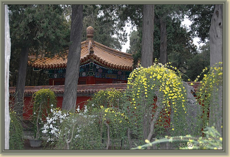 DSC_4342.JPG - De tuin van de keizer in de verboden stad Beijing